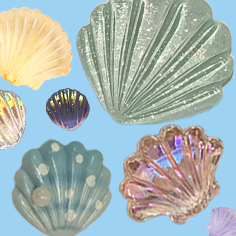 Muscheln