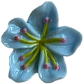 Blume10 Hibiskus Blau
