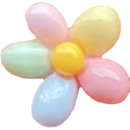 Blume Rainbow