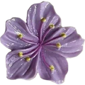Blume9 Hibiskus Lila