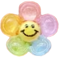 Blume_Regenboge