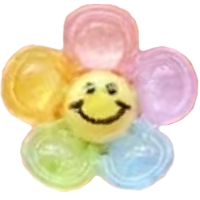 Blume_Regenboge
