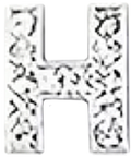 Buchstabe1 H1