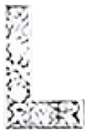 Buchstabe1 L1