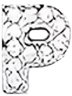 Buchstabe1 P1