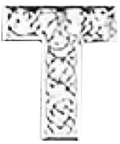 Buchstabe1 T1