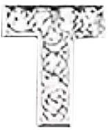 Buchstabe1 T1