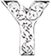 Buchstabe1 Y1