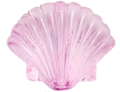 Muschel1 Rosa