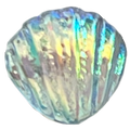 Muschel2 Blau