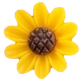 Sonnenblume